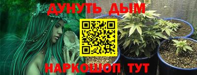 PSILOCYBIN Ликино-Дулёво