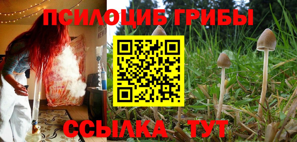 Псилоцибиновые грибы мицелий  Вход с VPN  Зима 